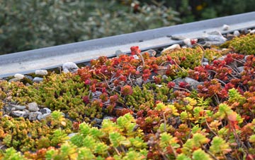 the cost of Three Bridges green roof installation