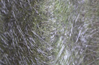 Three Bridges fibreglass roof work